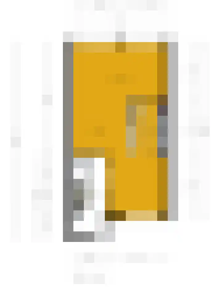de Leemput 50 Halsteren thumbnail 32