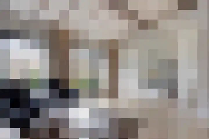 de Leemput 50 Halsteren thumbnail 4