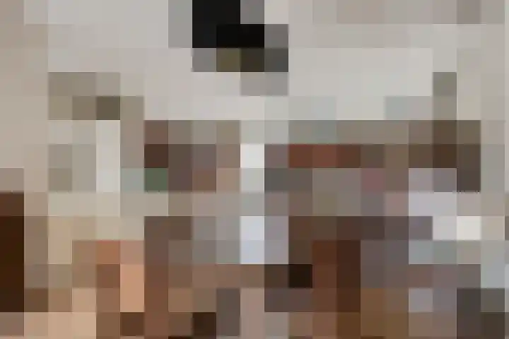 de Leemput 50 Halsteren thumbnail 5