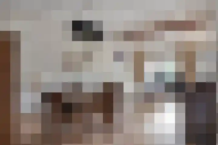 de Leemput 50 Halsteren thumbnail 6