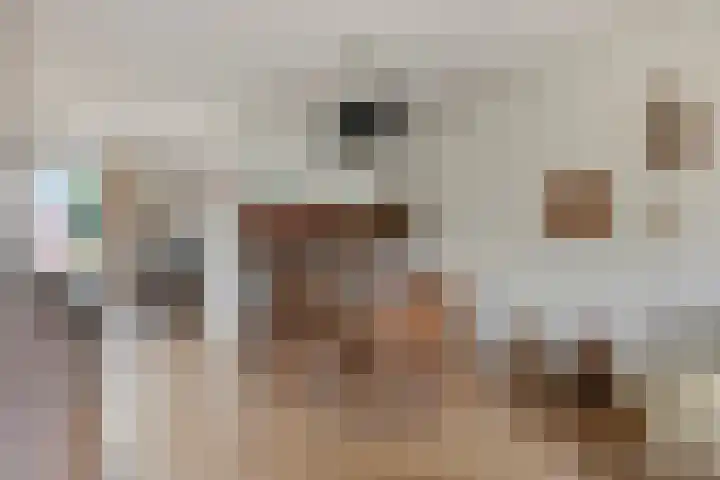 de Leemput 50 Halsteren thumbnail 7