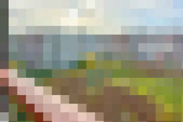 De Leerbrief 37 Amersfoort thumbnail 20