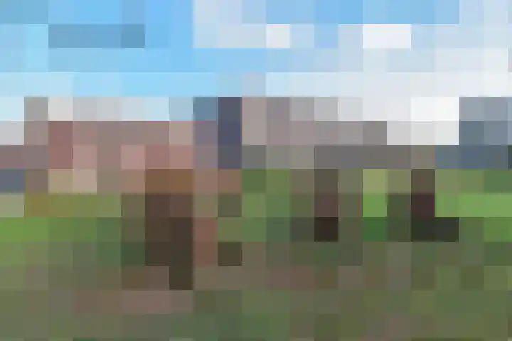 De Leerbrief 37 Amersfoort thumbnail 23
