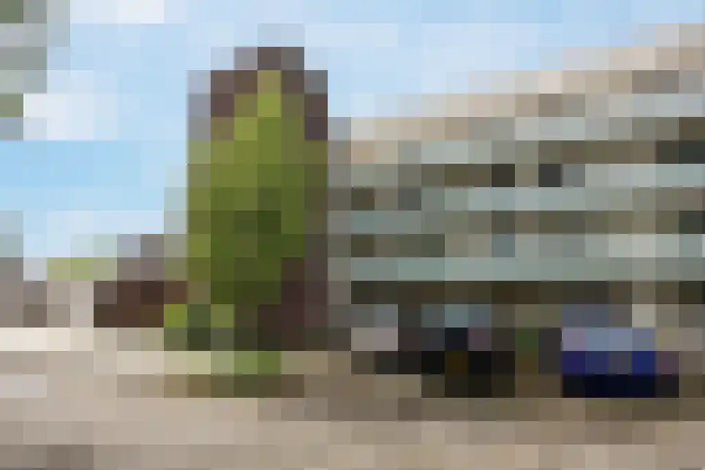 De Leerbrief 5 Amersfoort thumbnail 36