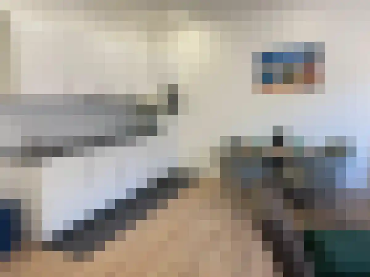 De Leesakker 1 Waalre thumbnail 6