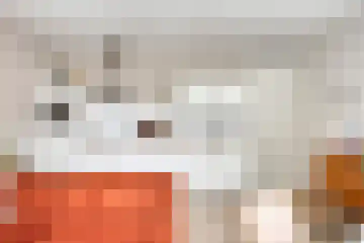 De Leest 8 Lichtenvoorde thumbnail 11