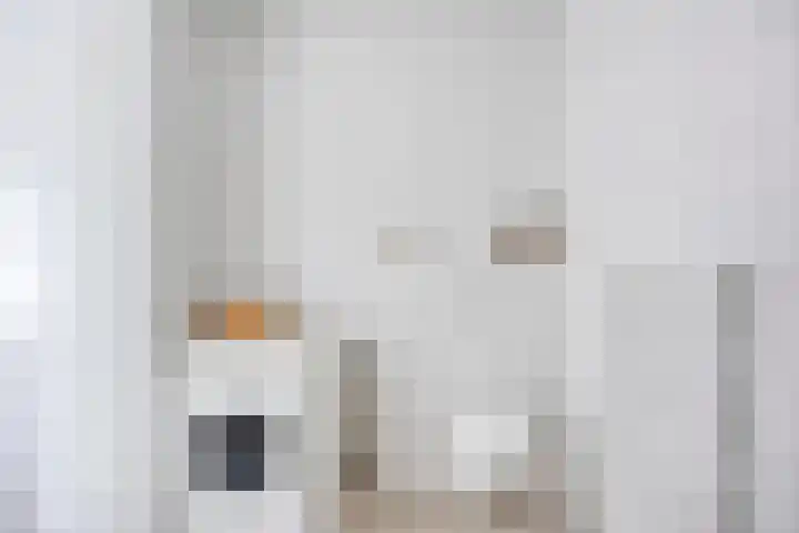 De Leest 8 Lichtenvoorde thumbnail 18
