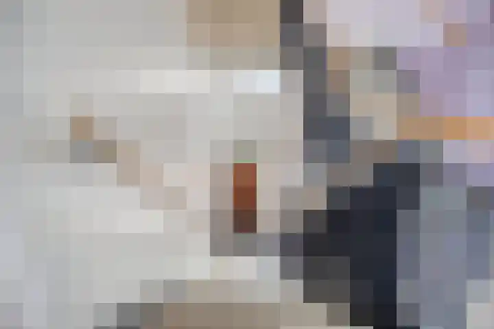 De Leest 8 Lichtenvoorde thumbnail 5