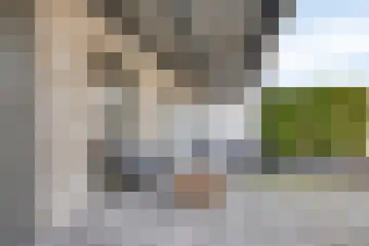 De Leest 8 Lichtenvoorde thumbnail 8