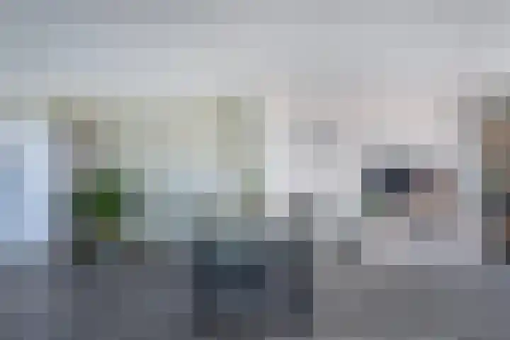 De Leeuw 25 Harlingen thumbnail 23