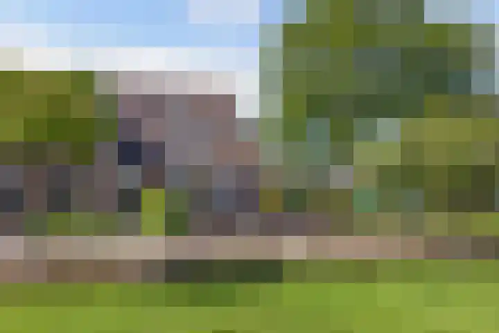 De Leeuw 25 Harlingen foto 3