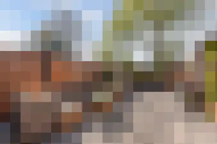 De Leeuw 25 Harlingen thumbnail 32