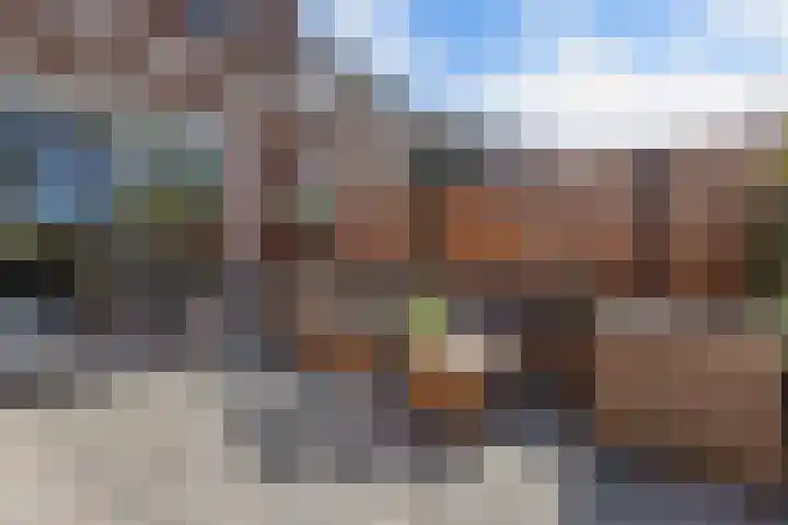 De Leeuw 25 Harlingen thumbnail 33