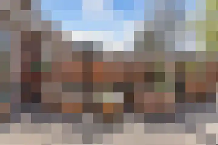 De Leeuw 25 Harlingen thumbnail 35