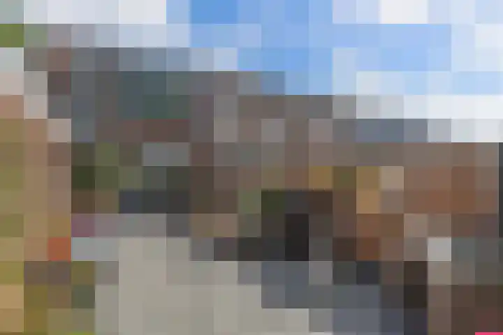 De Leeuw 25 Harlingen thumbnail 38