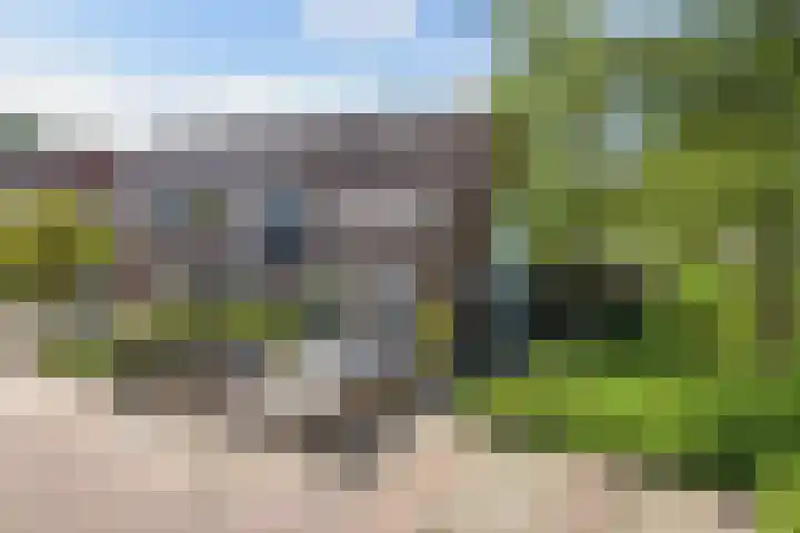 De Leeuw 25 Harlingen thumbnail 4
