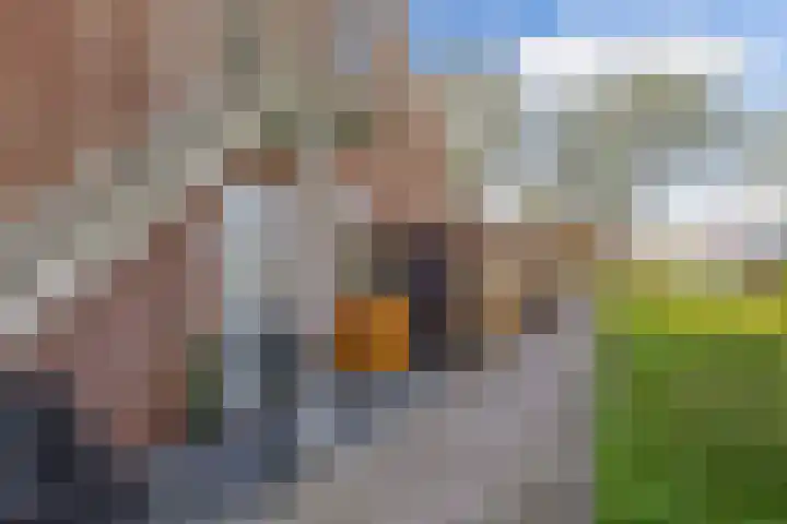 De Leeuw 25 Harlingen thumbnail 44