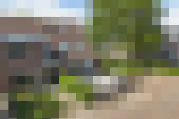 De Leeuw 25 Harlingen thumbnail 5