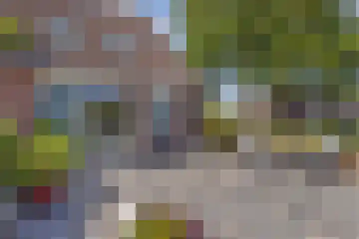 De Leeuw 25 Harlingen thumbnail 6