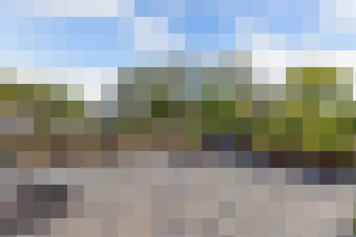 De Leeuw 25 Harlingen thumbnail 7