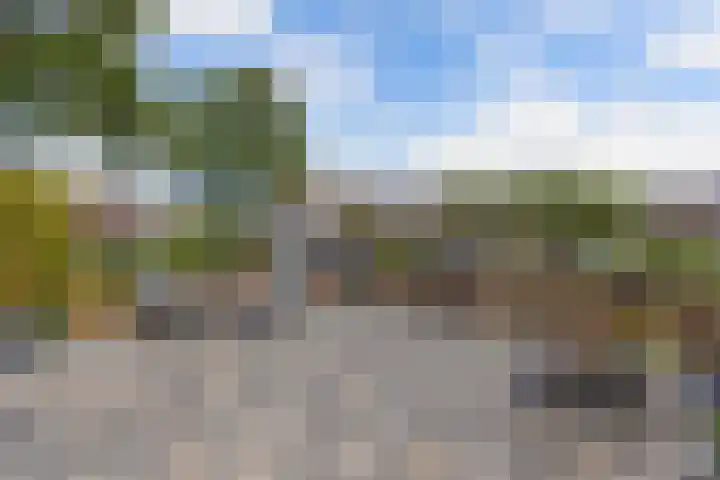 De Leeuw 25 Harlingen thumbnail 8