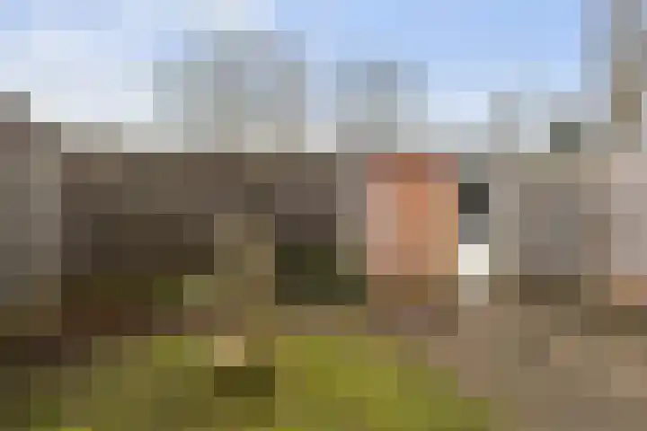 De Leeuw 61 Harlingen thumbnail 24