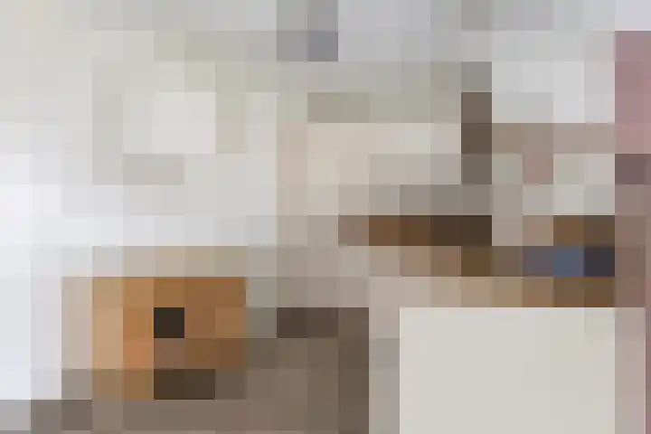 De Leeuw 61 Harlingen thumbnail 9