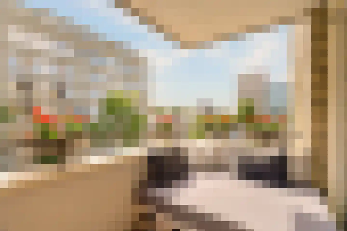 De Leeuw van Vlaanderenstraat 5 A Amsterdam thumbnail 18