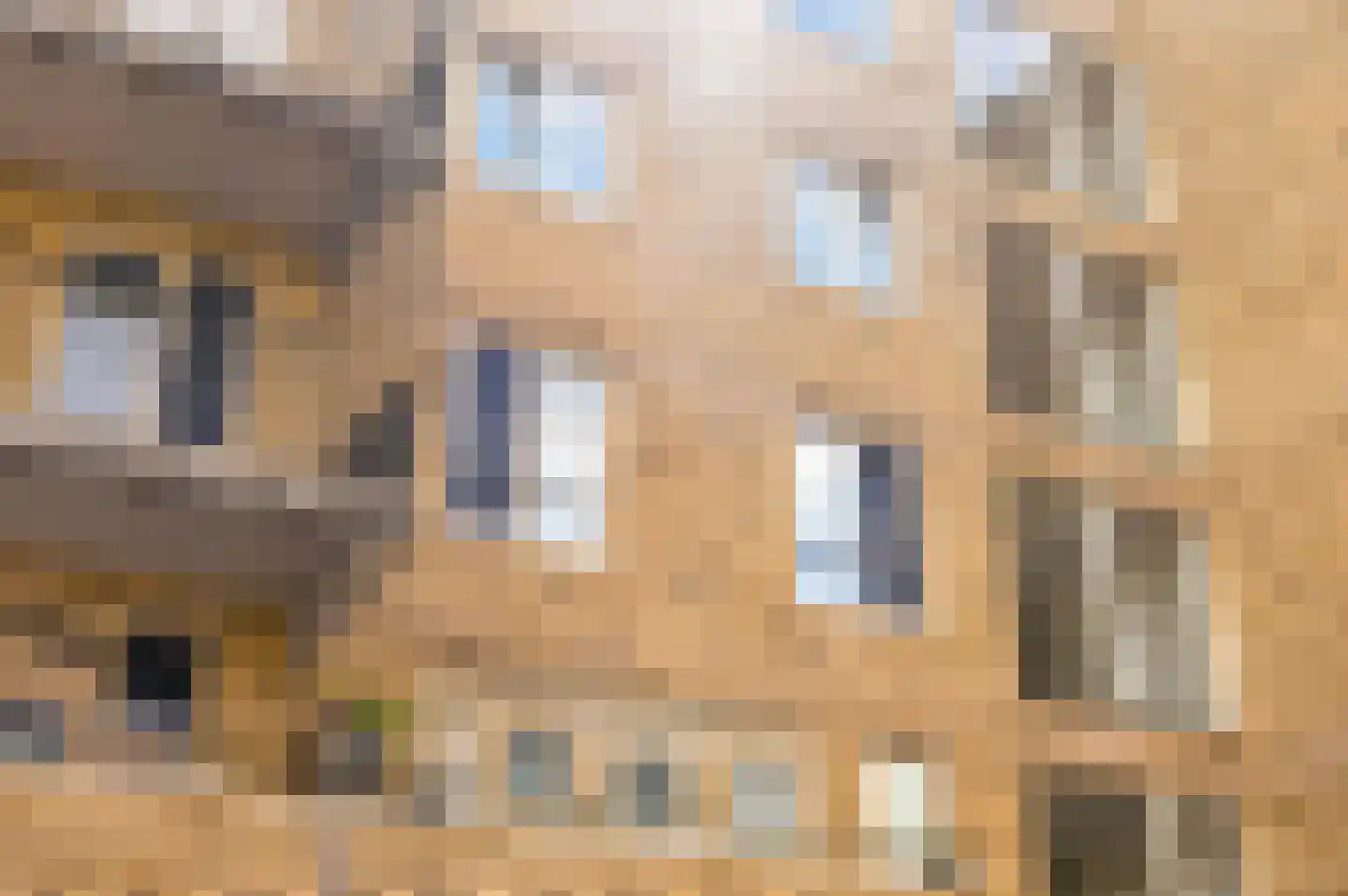 De Leeuw van Vlaanderenstraat 5 A Amsterdam thumbnail 38