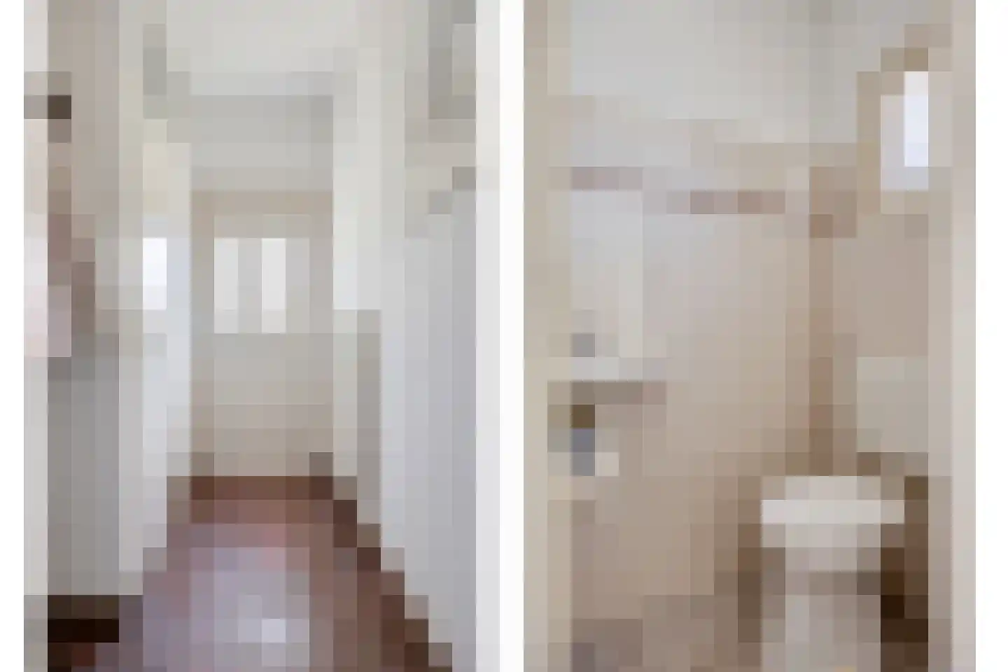 De Leeuwebek 30 Budel thumbnail 11