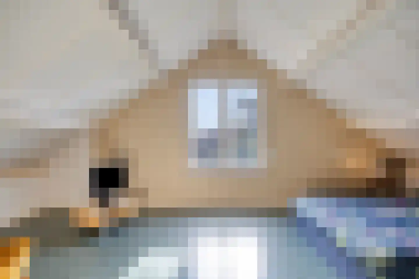 De Leeuwebek 30 Budel thumbnail 21