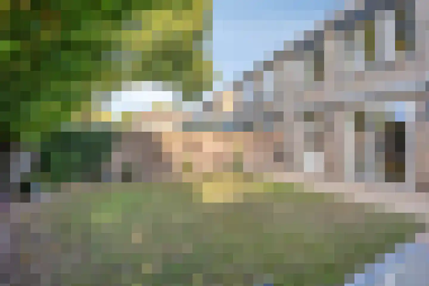 De Leeuwebek 30 Budel thumbnail 26