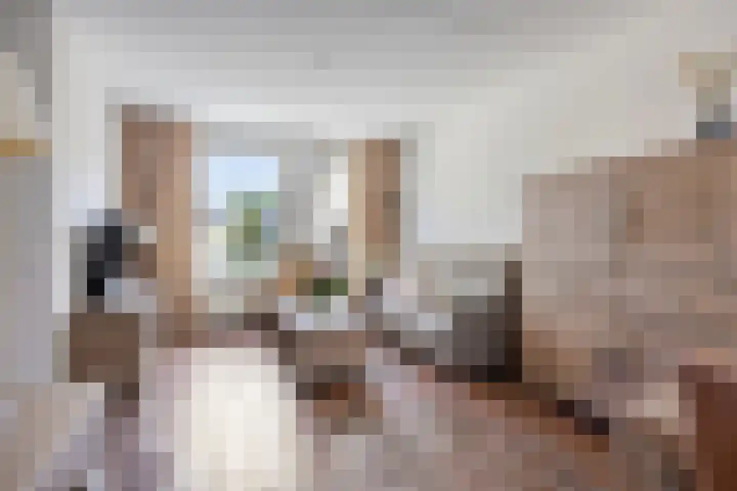 De Leeuwebek 30 Budel foto 3