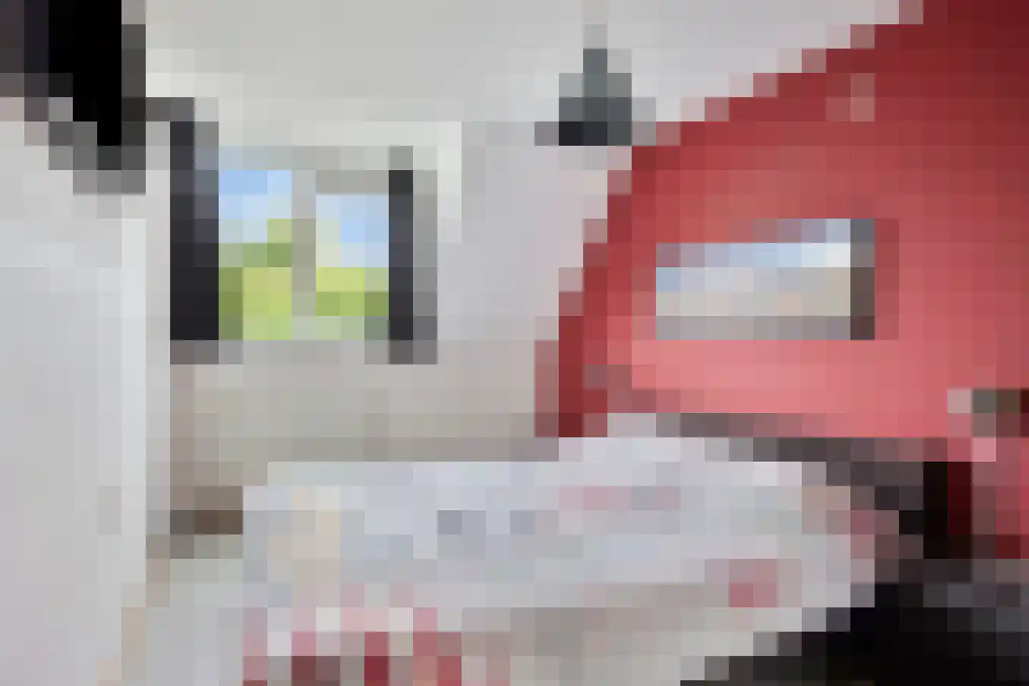De Leeuwerikstraat 30 Best thumbnail 28