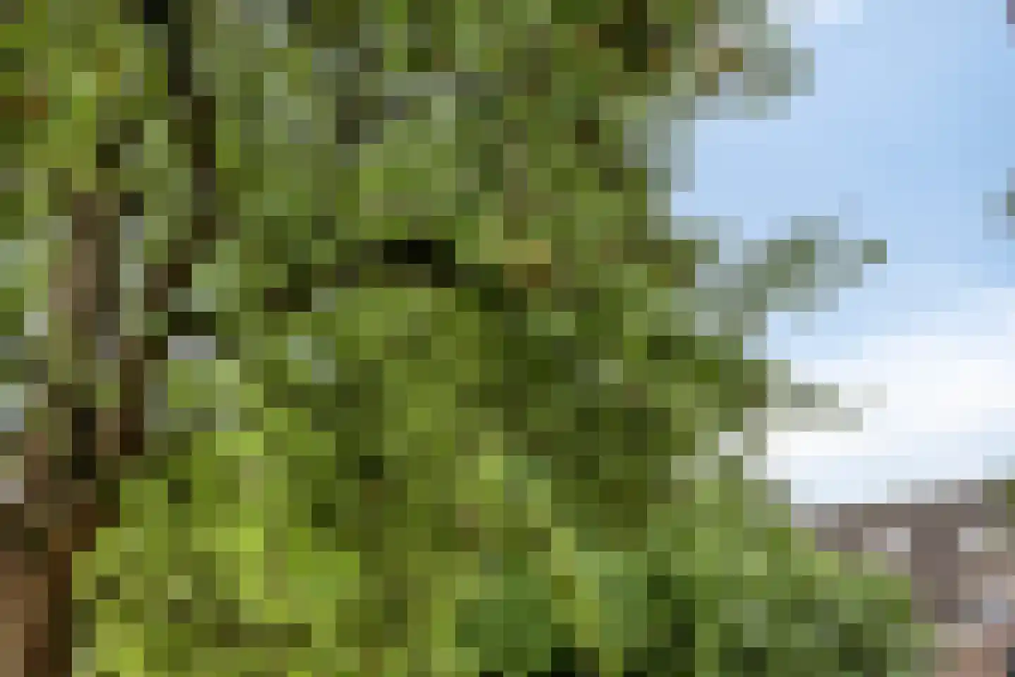 De Leeuwerikstraat 30 Best thumbnail 43