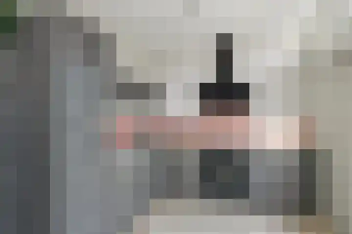 de Leeuwstraat 9 Kampen thumbnail 12