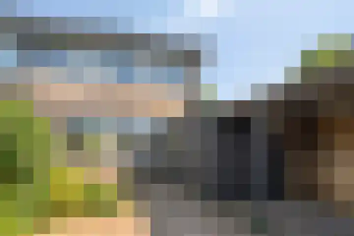 de Leeuwstraat 9 Kampen thumbnail 14