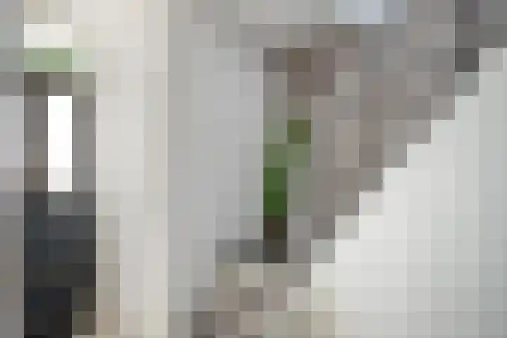 de Leeuwstraat 9 Kampen thumbnail 15