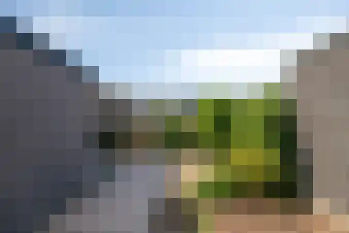 de Leeuwstraat 9 Kampen thumbnail 4