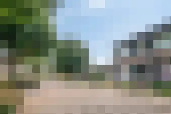 de Leeuwstraat 9 Kampen thumbnail 6