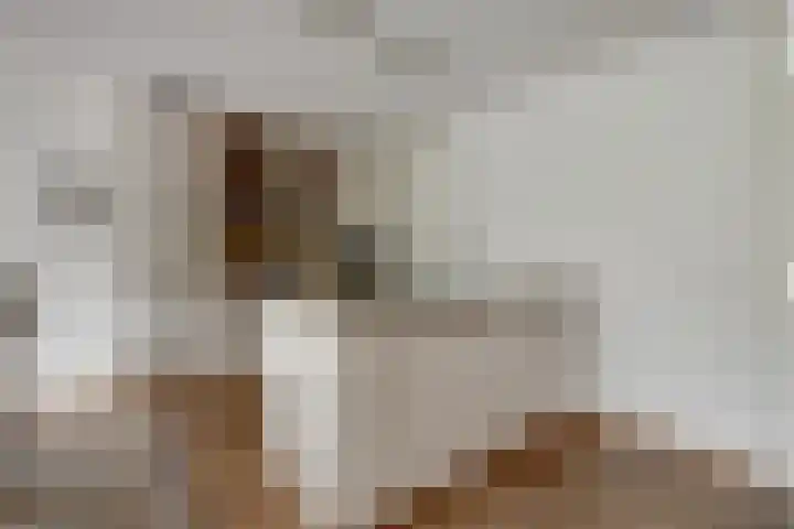 De Legakker 5 Amersfoort thumbnail 14