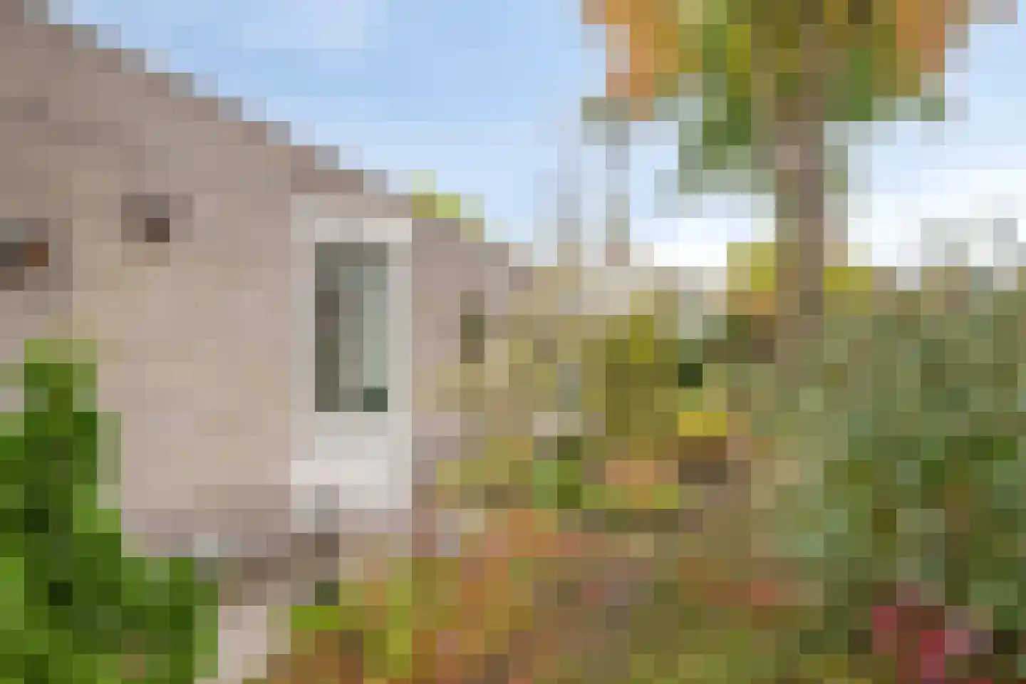 de Legge 1 Valkenswaard thumbnail 8