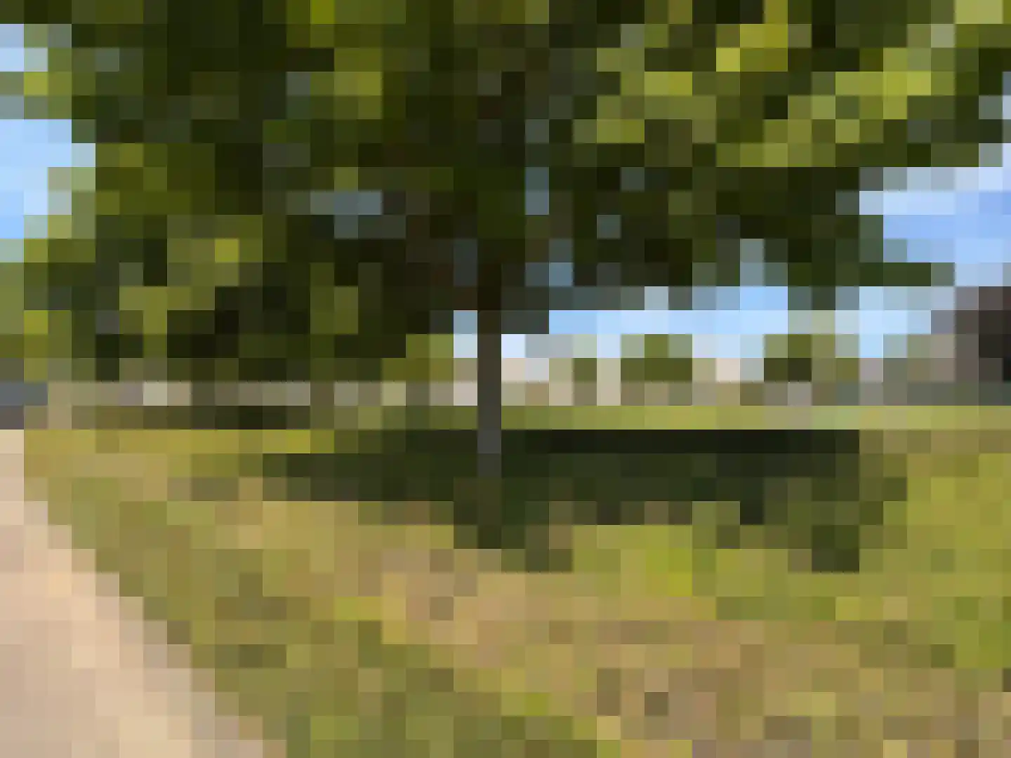 de Legge 5 Valkenswaard thumbnail 18