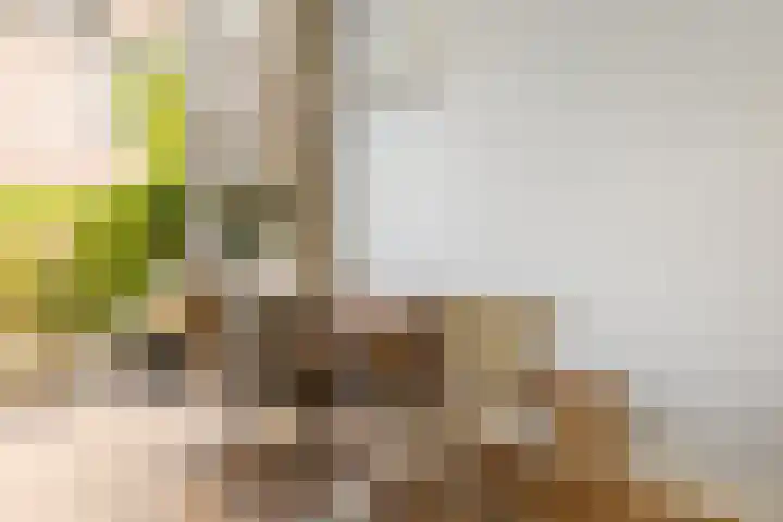 De Leggende Osstraat 9 Amsterdam thumbnail 12