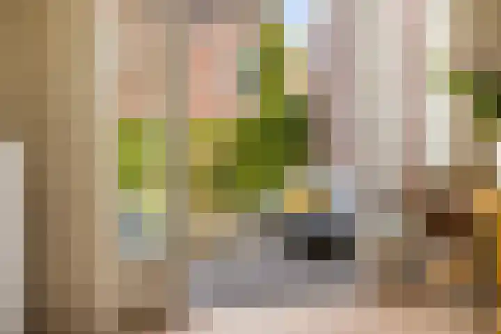 De Leggende Osstraat 9 Amsterdam thumbnail 17