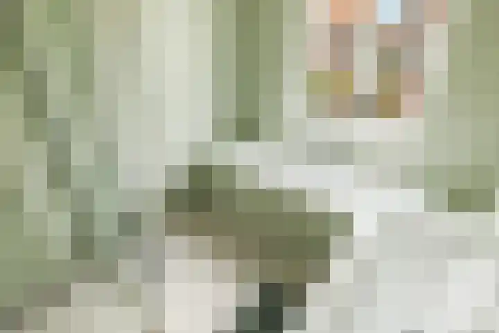 De Leggende Osstraat 9 Amsterdam thumbnail 37