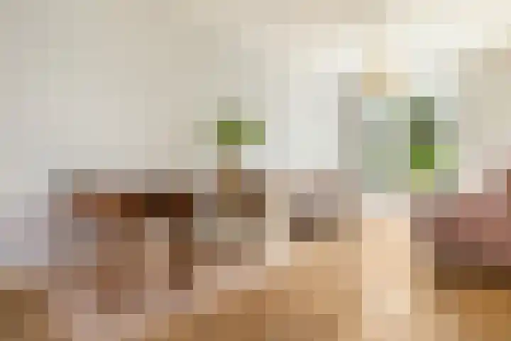 De Leggende Osstraat 9 Amsterdam thumbnail 4