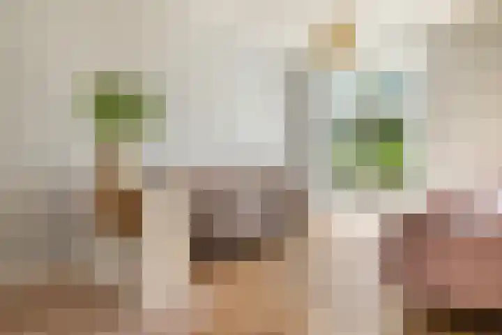 De Leggende Osstraat 9 Amsterdam thumbnail 5