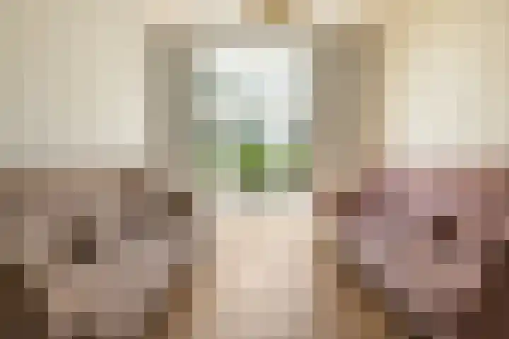 De Leggende Osstraat 9 Amsterdam thumbnail 6