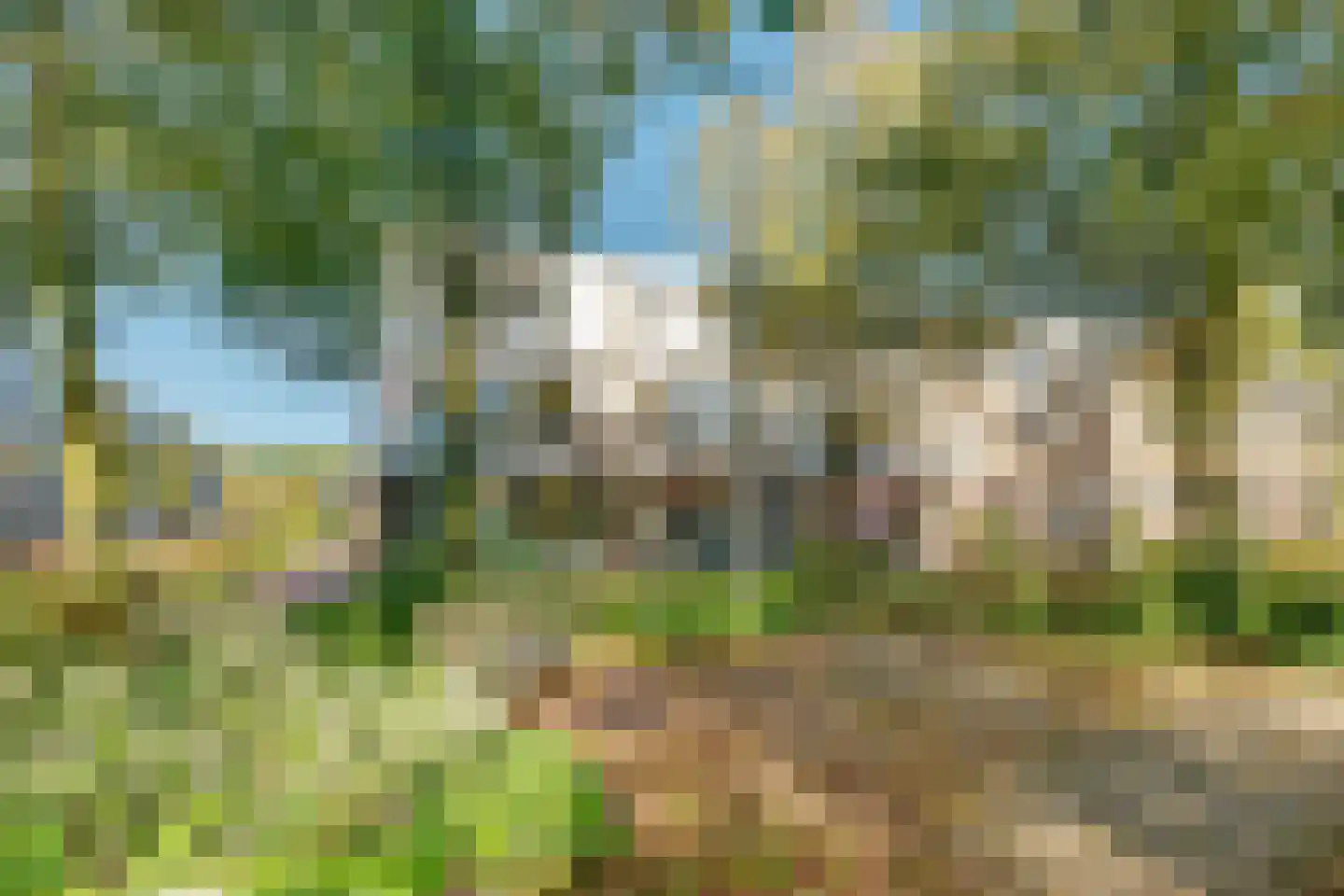 de Lei 45 Driebergen-Rijsenburg thumbnail 28